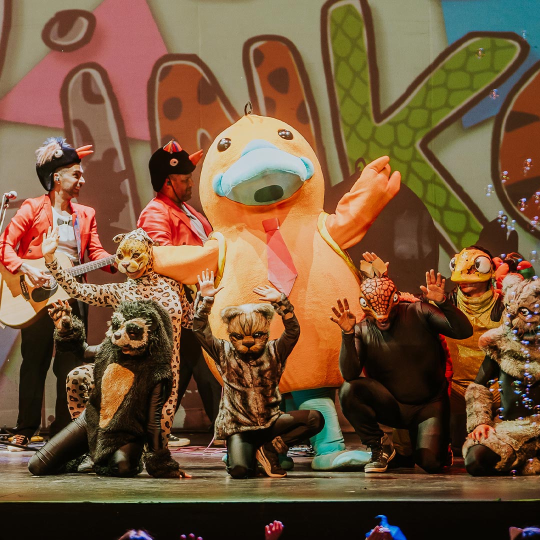 Flinko & la Pingüi-Band